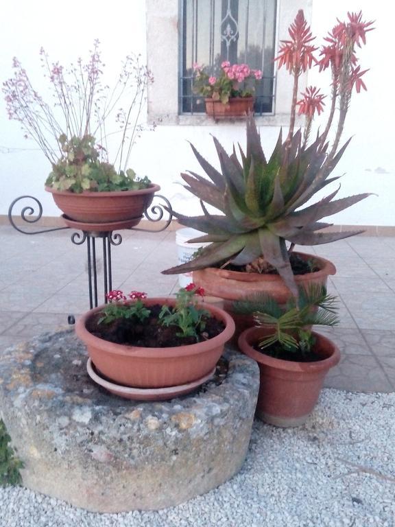 Trulli Sarmenzanello Appartement Noci Buitenkant foto